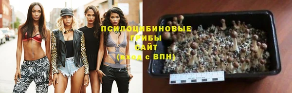 бошки Кукмор
