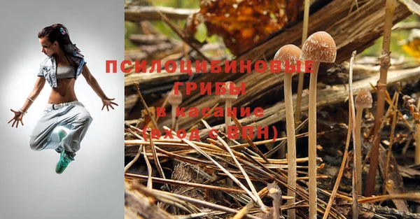 a pvp Краснослободск