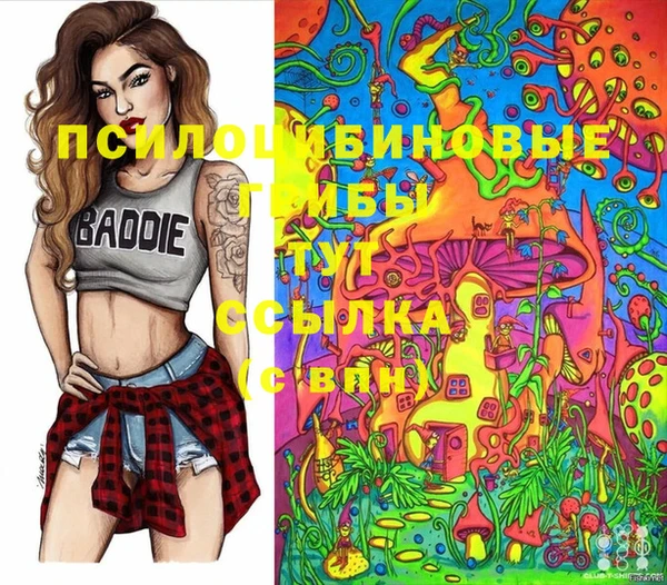 таблы Козловка